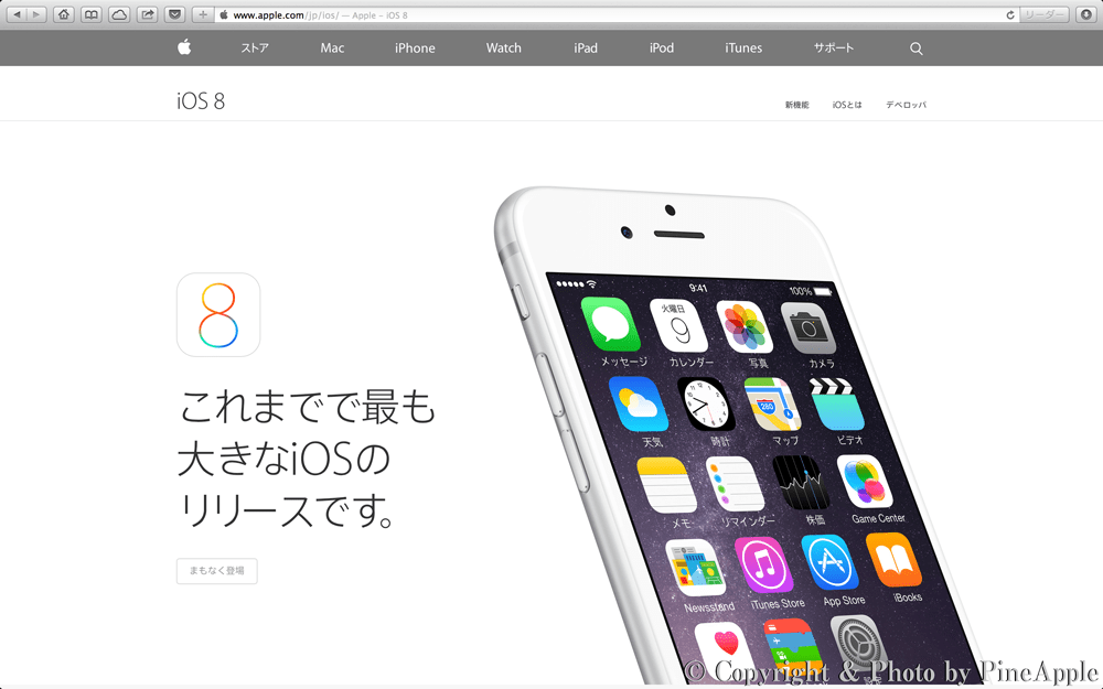 【トラブルシューティング】iOS 8 での「アプリケーション」のダウンロード方法。 PineApple