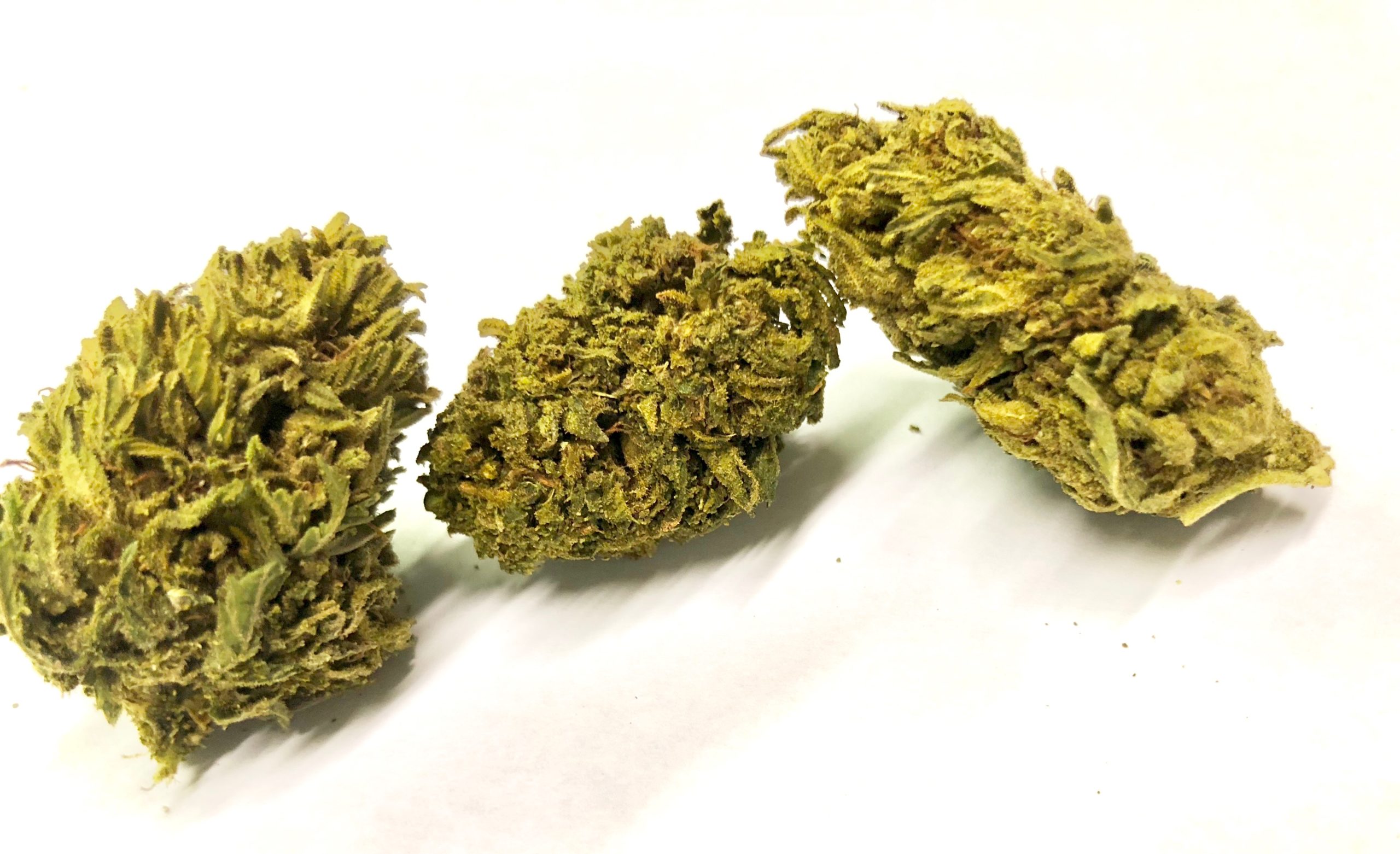 Runtz Pineapple Hemp Farm