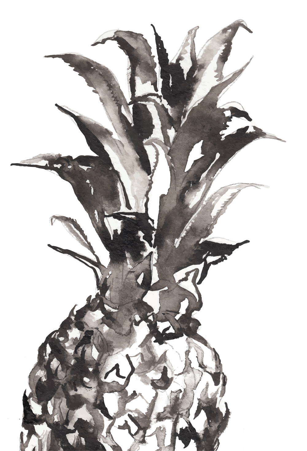 Pineapple House Boutique Hotel