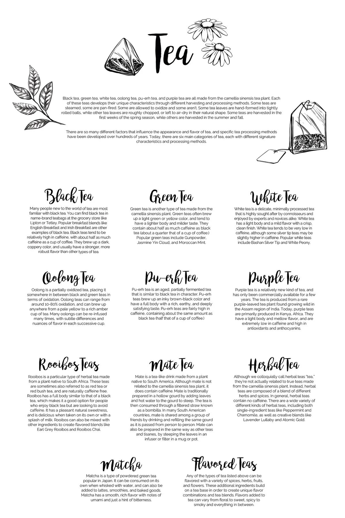 Tea Flavors Guide Chart Pineapple Licensing