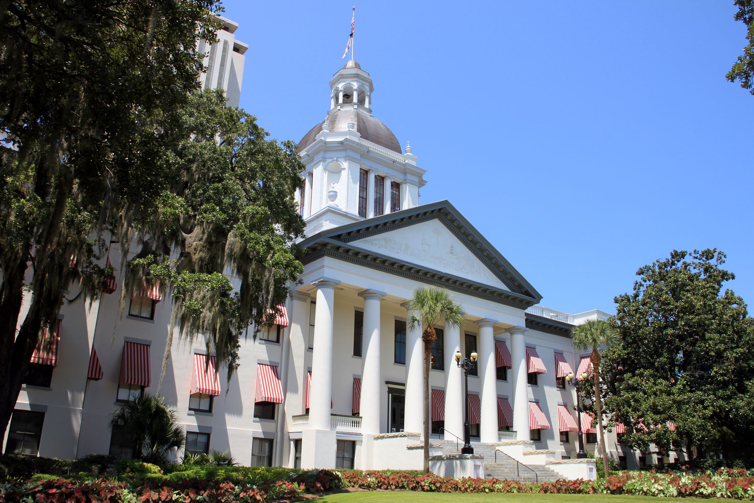 10 big issues to watch in the 2021 Legislative Session Pineapple Report