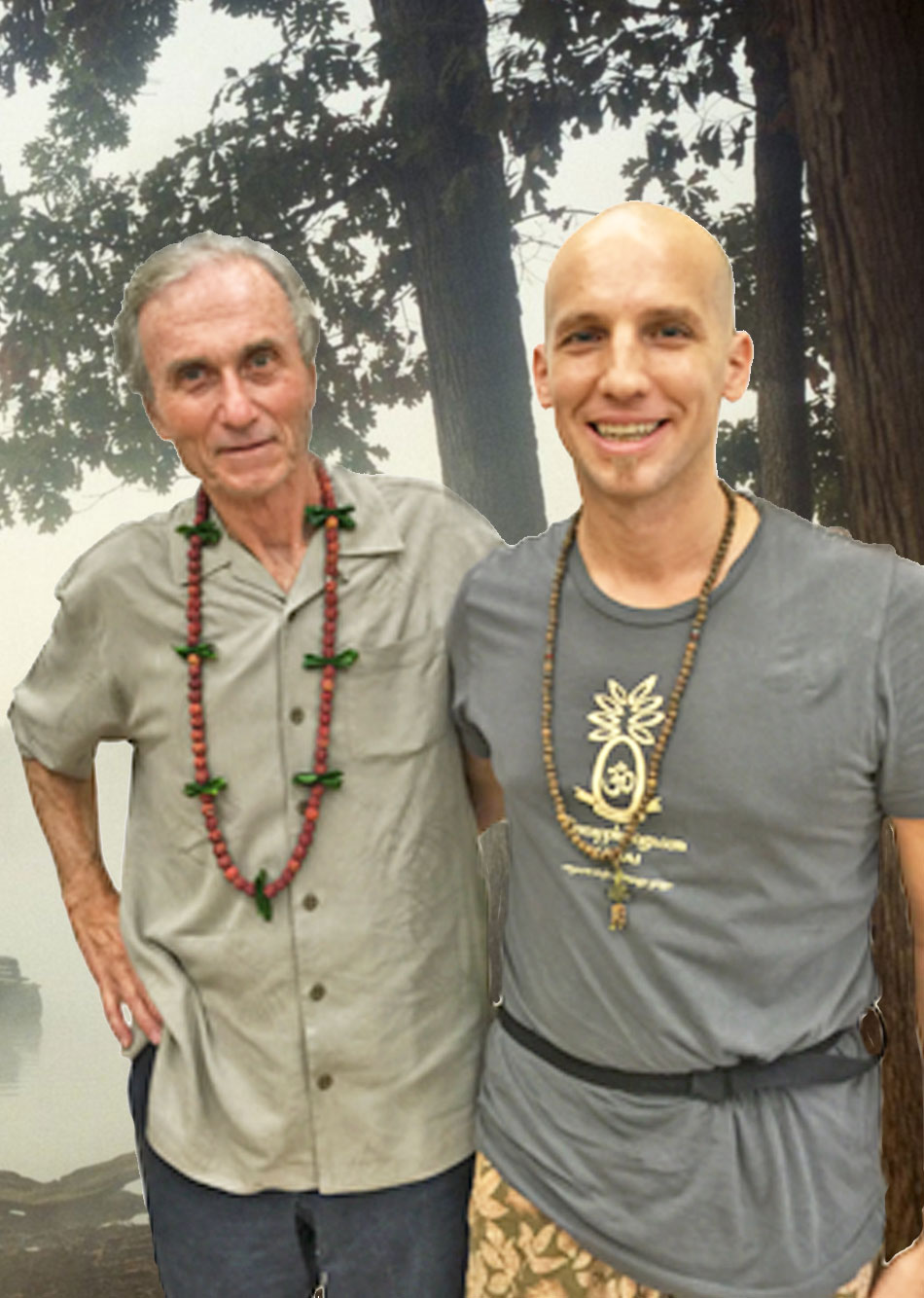 Ashtanga Yoga Vegan Kauai, Hawaii