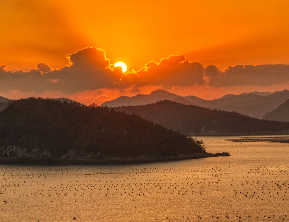 Advaita Vedanta and The Upanishads Pineapple Yoga KAUAI