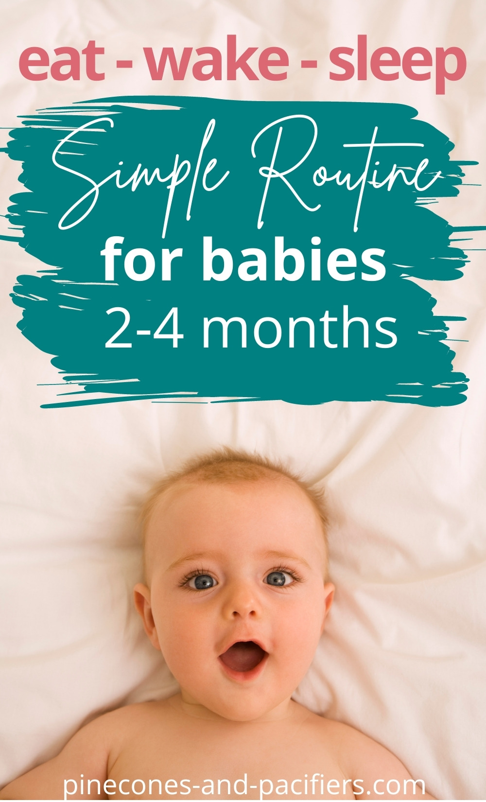 2 Month Old Schedule Pinecones & Pacifiers