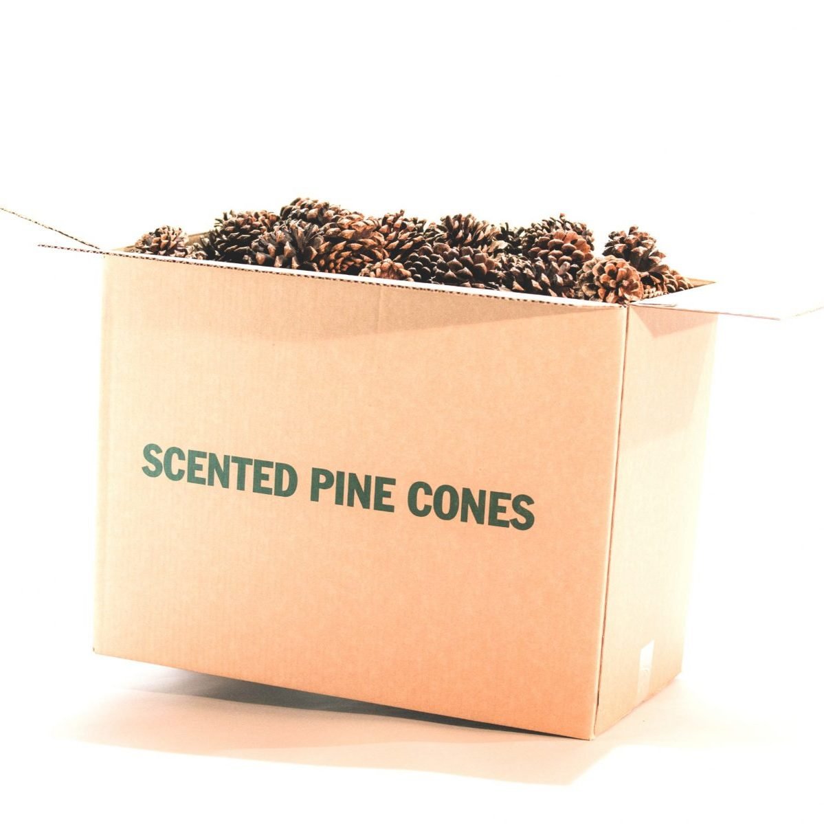 Buy Pine Cones in Bulk Pine Cones Direct