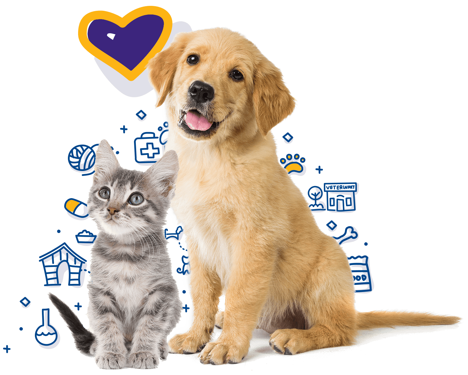 Vaccines For Boarding Dogs / KENNELJEC 2 DOG VACCINE W