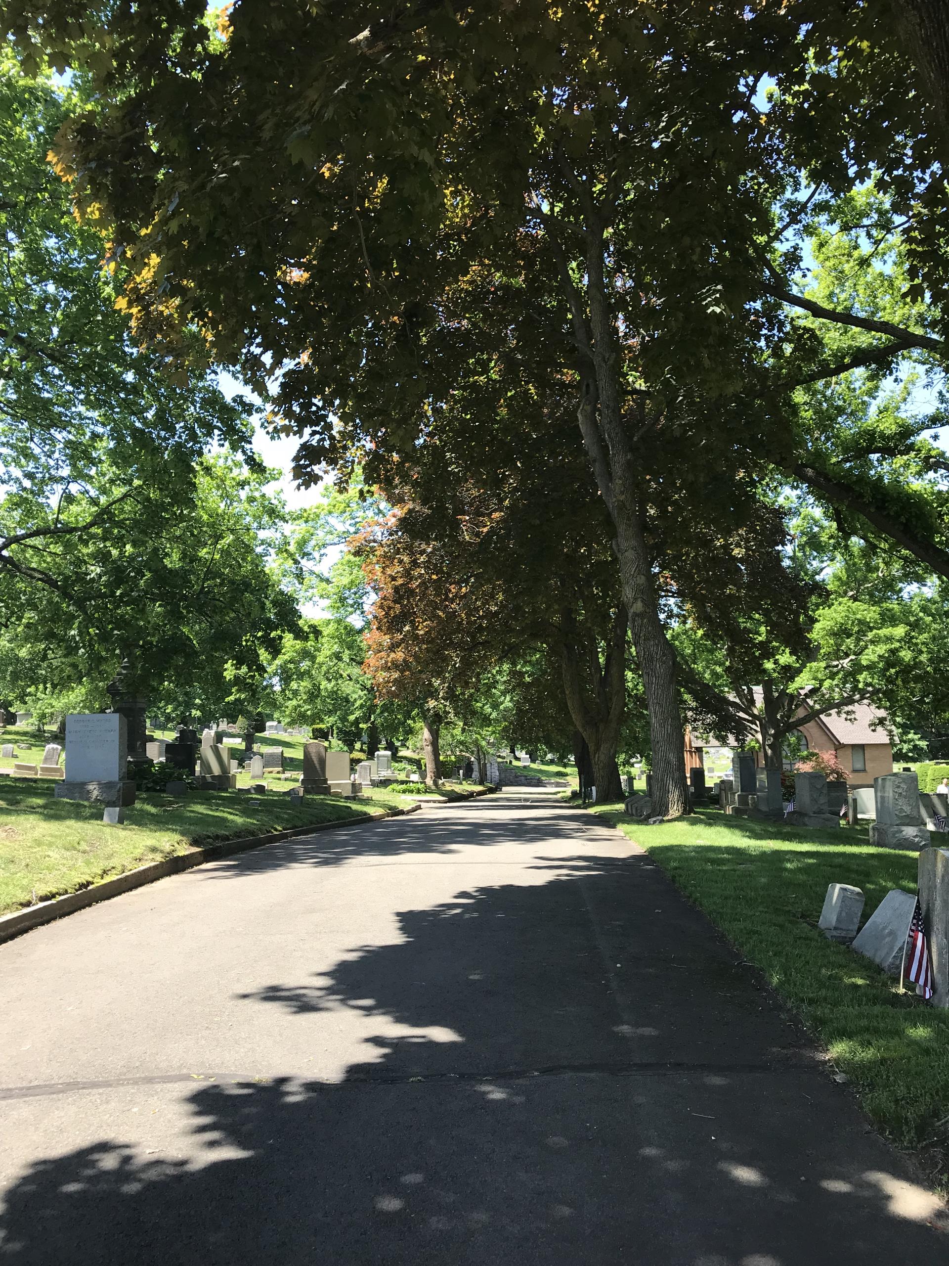 Home Pine Grove Cemetery