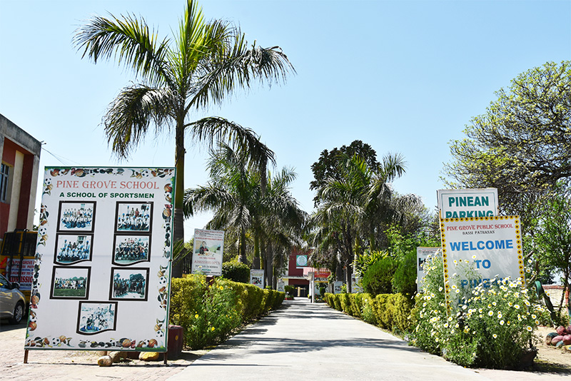 Pine Grove Group of Institutes Bassi Pathana