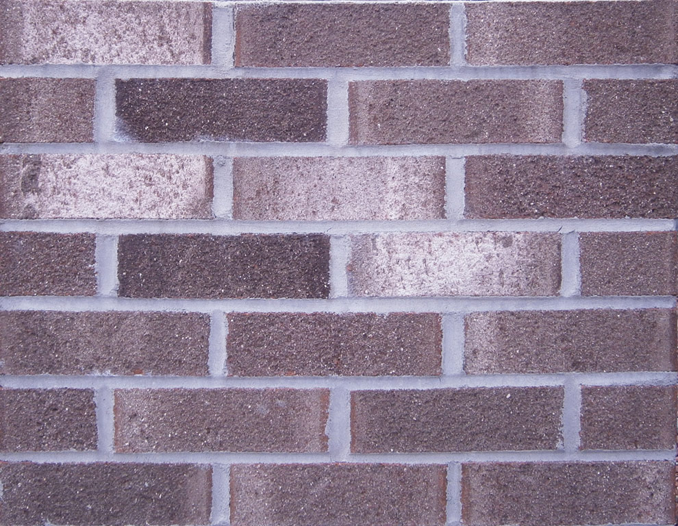 Old Charleston Pine Hall Brick