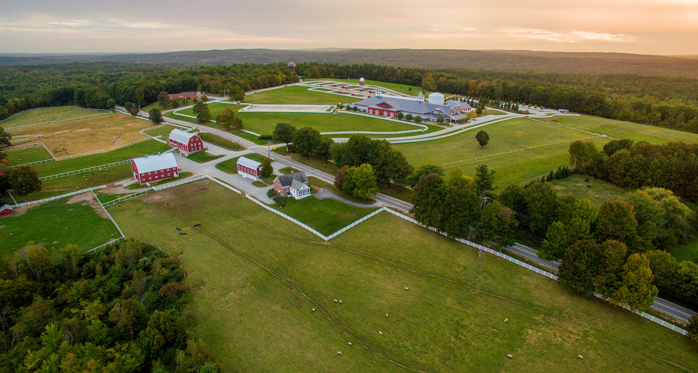 Home Pineland Farms, Inc.