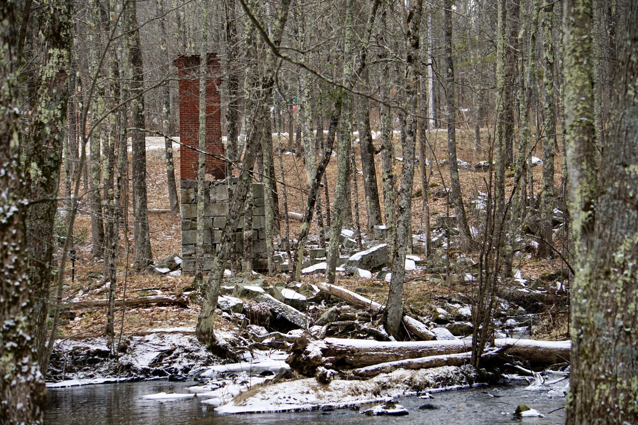 Mayall Mills Pineland Farms, Inc.