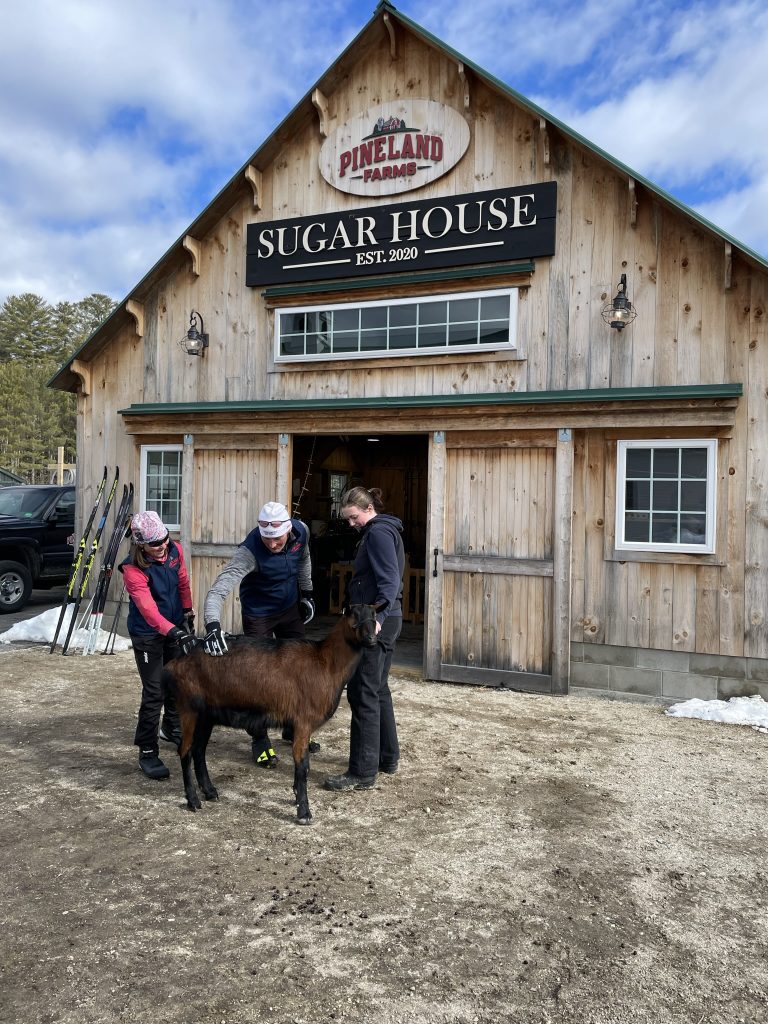 Crosscountry ski to a Sugar House in Maine Pineland Farms, Inc.