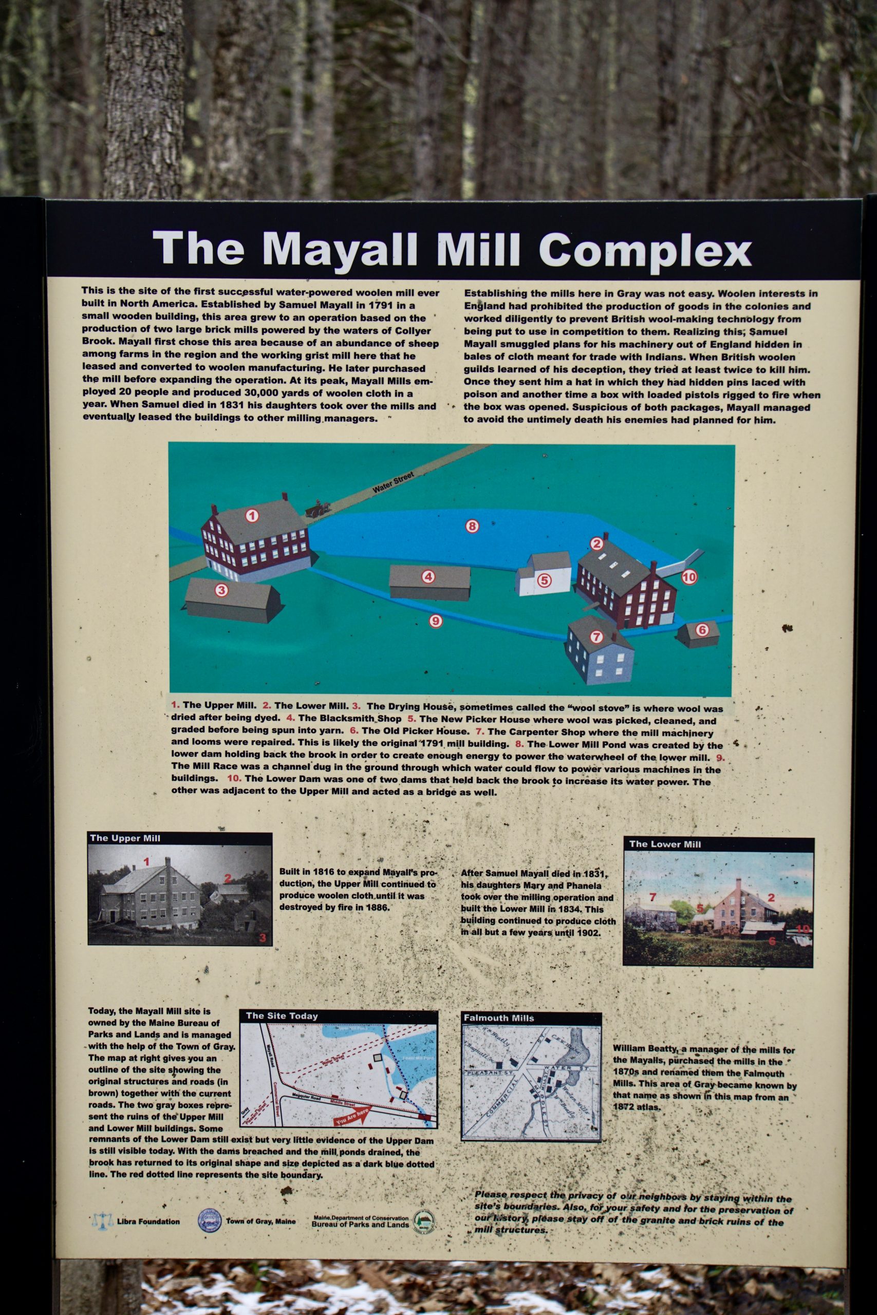 Mayall Mills Pineland Farms, Inc.