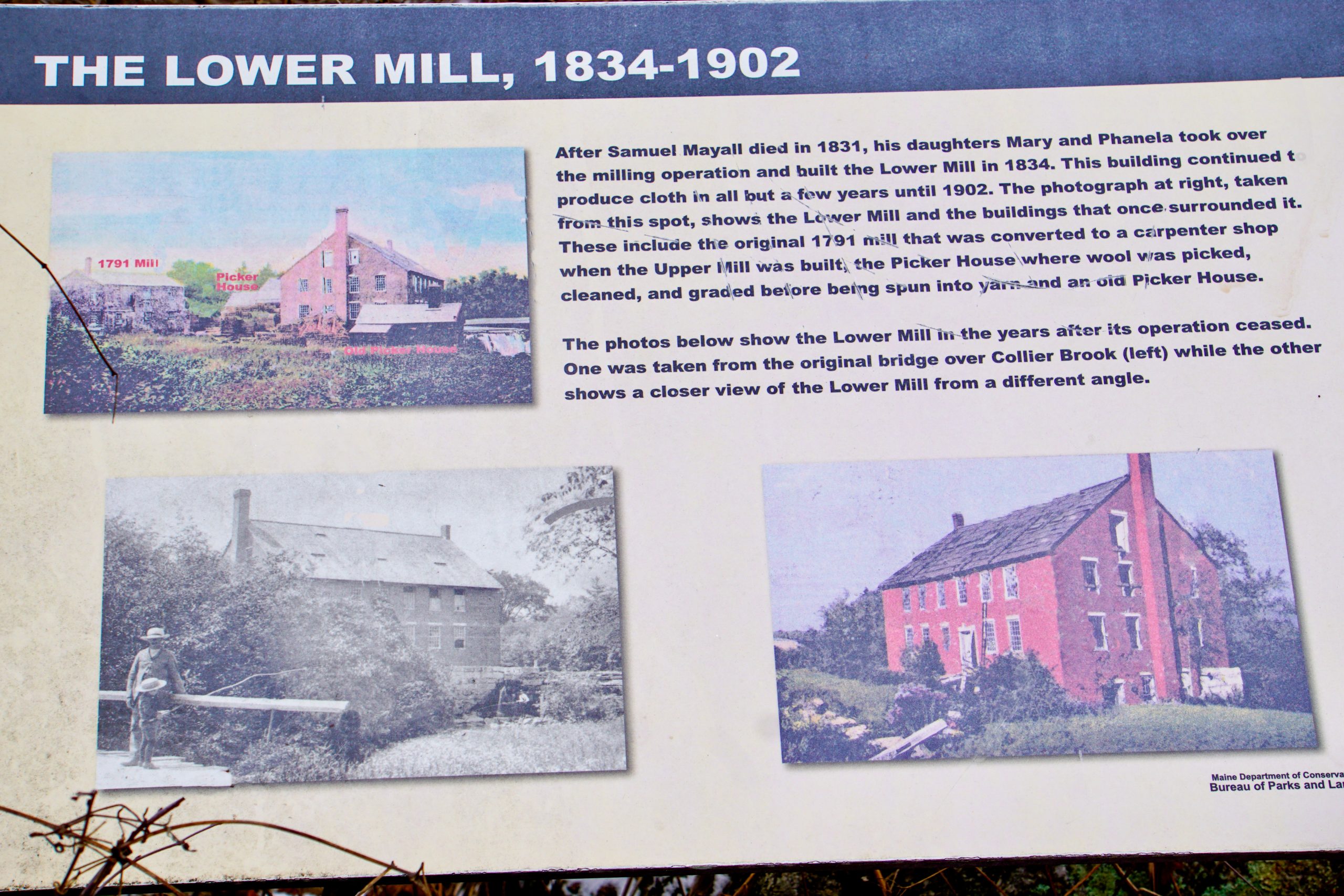 Mayall Mills Pineland Farms, Inc.