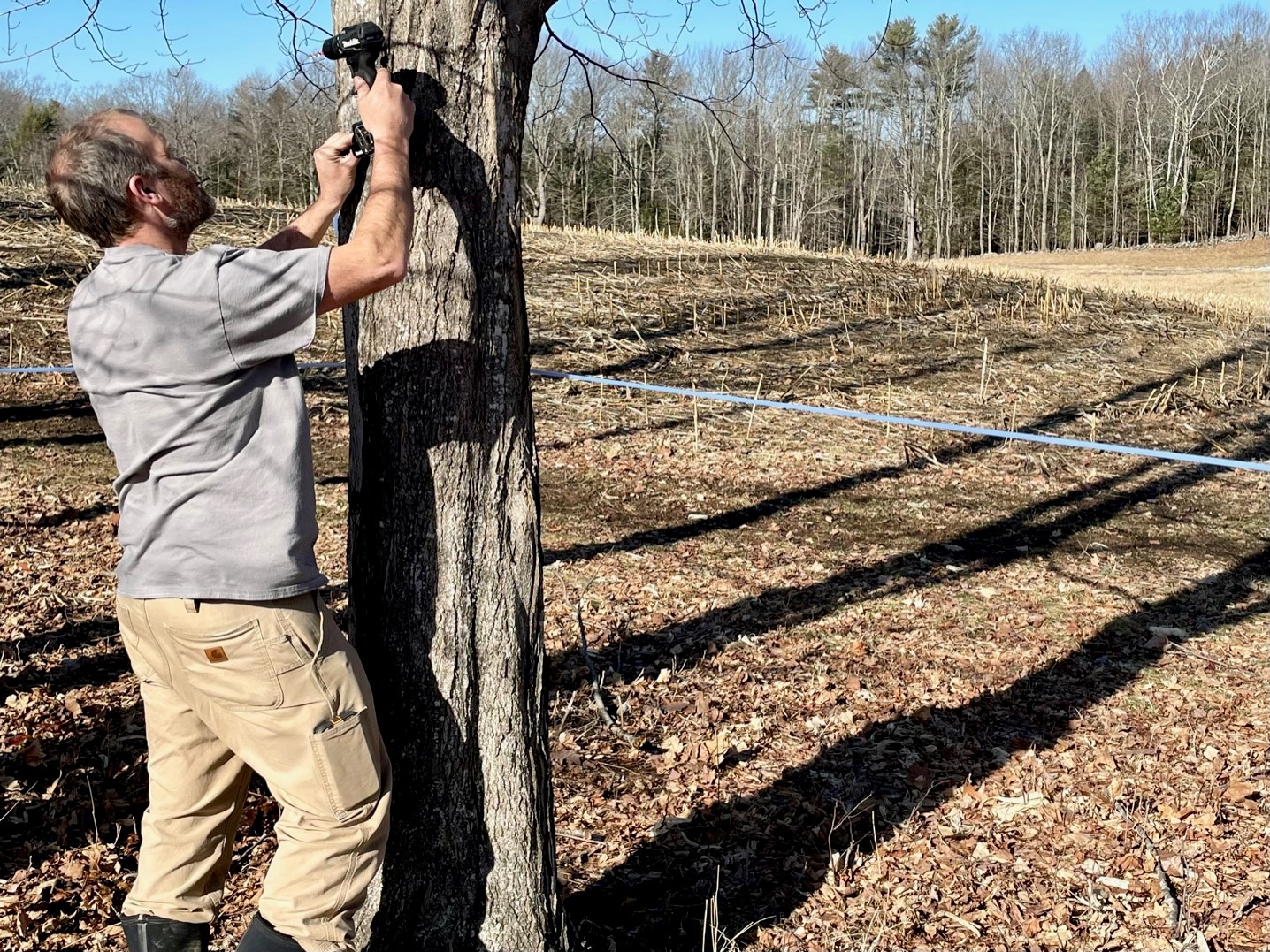 Maple Sugaring Process Pineland Farms, Inc.