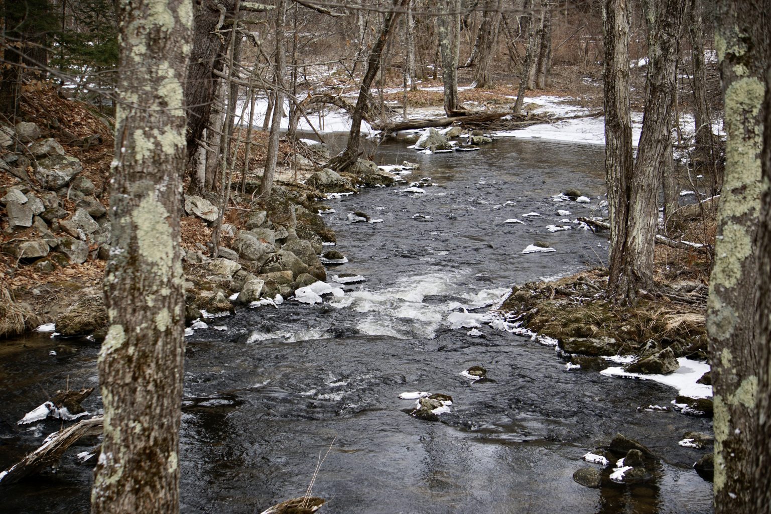 Mayall Mills Pineland Farms, Inc.