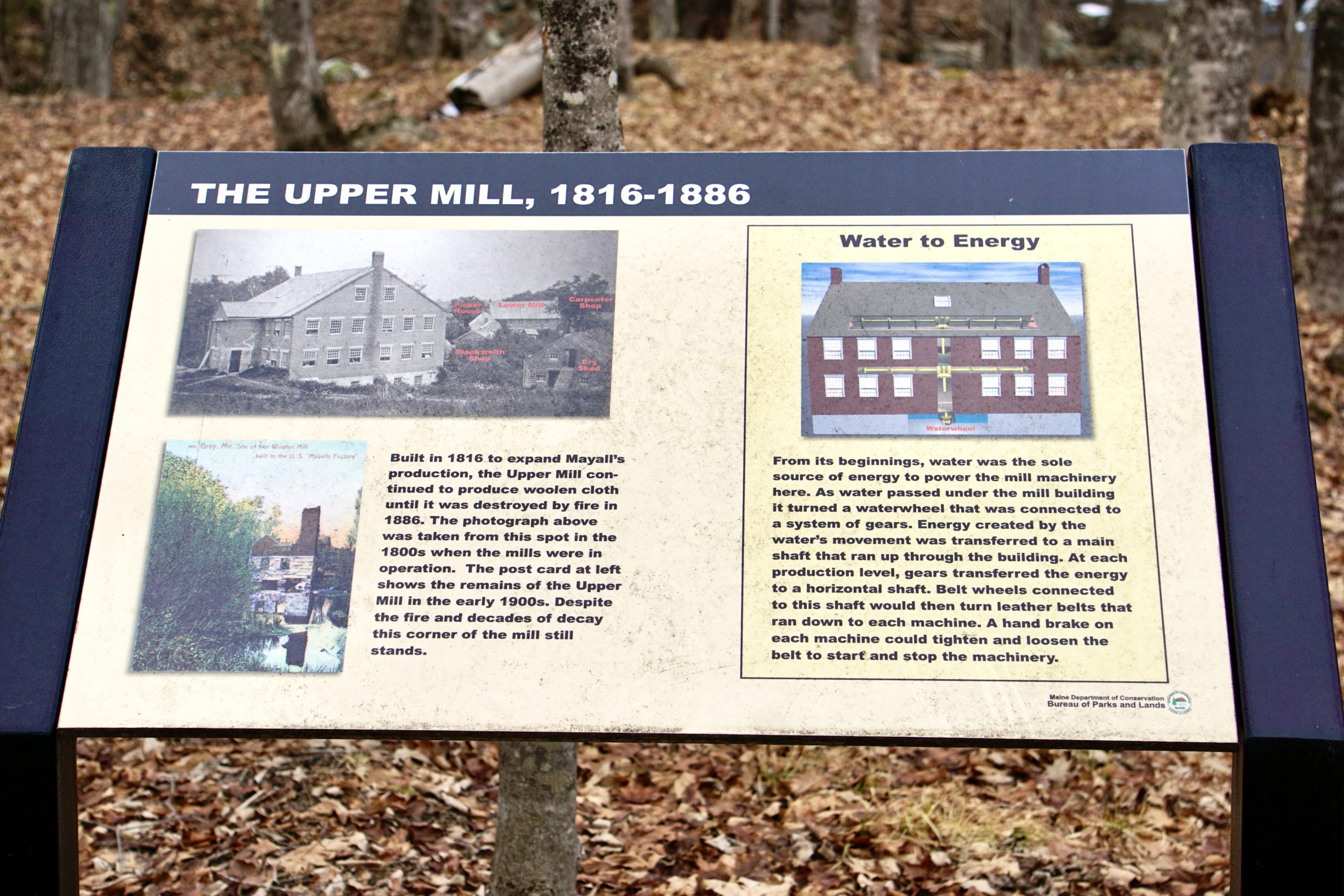 Mayall Mills Pineland Farms, Inc.