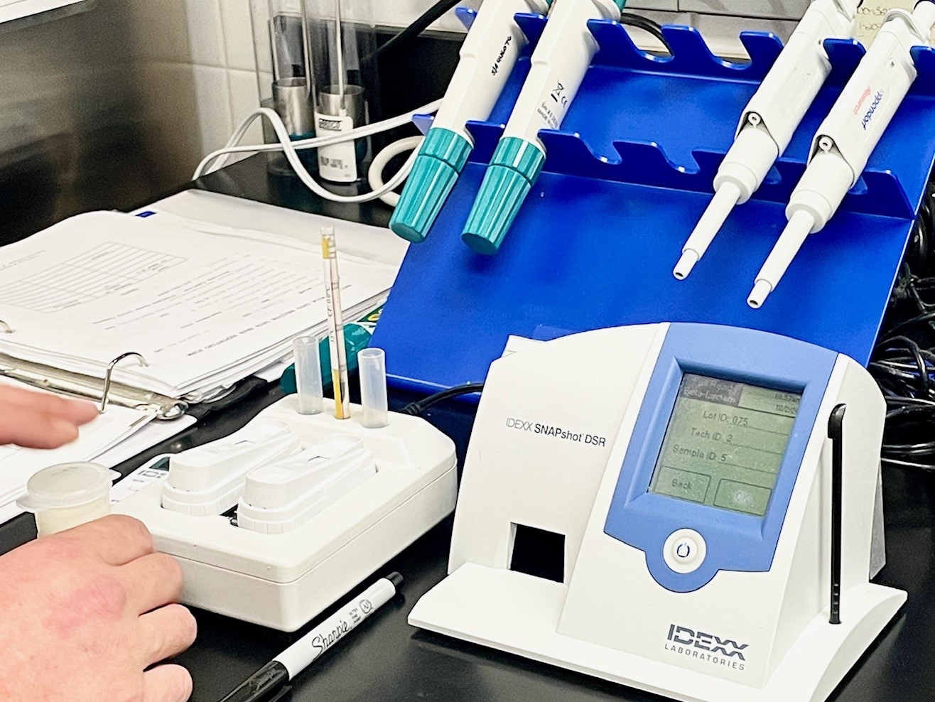 snap test Pineland Farms Dairy