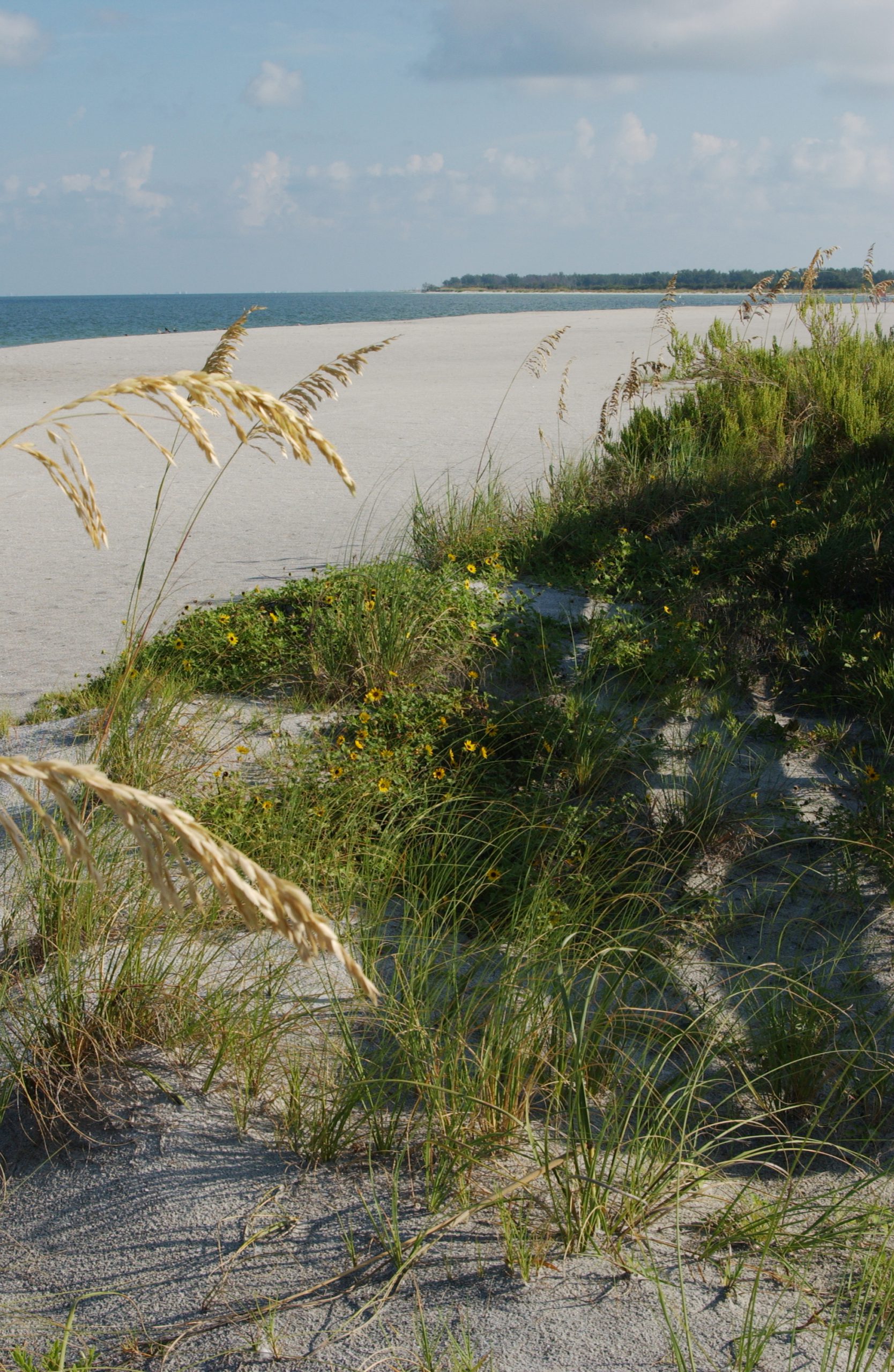 Madeira Beach Access Pinellas County