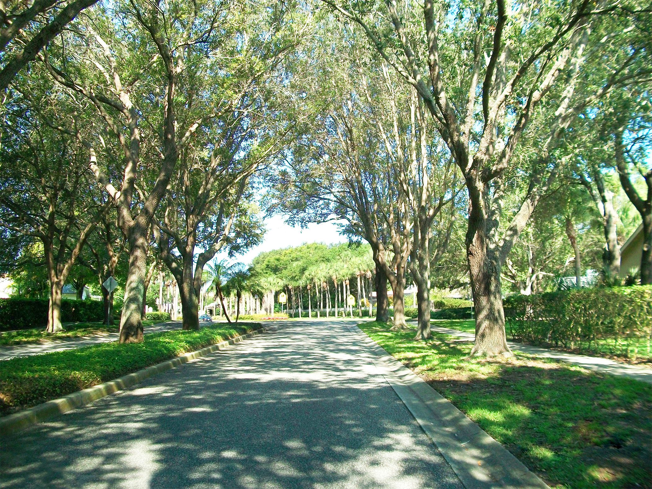 Urban Forestry and Landscape Services Pinellas County
