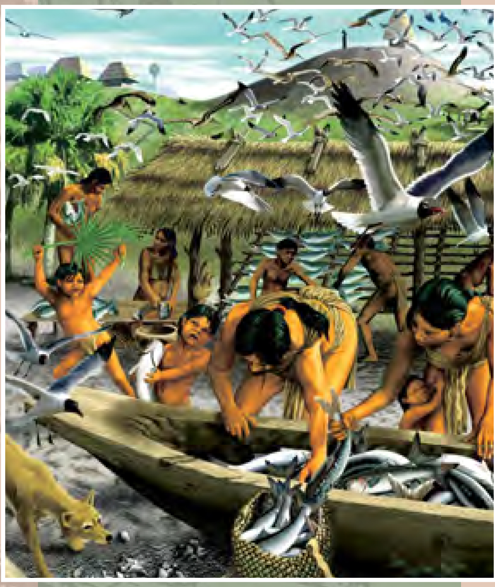 Tocobaga Temple Mound Pinellas County