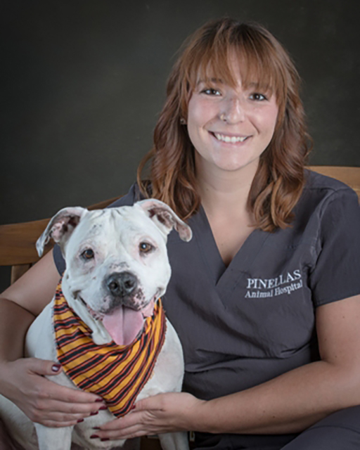 Meet Our Team Pinellas Animal Hospital Pinellas Park, FL