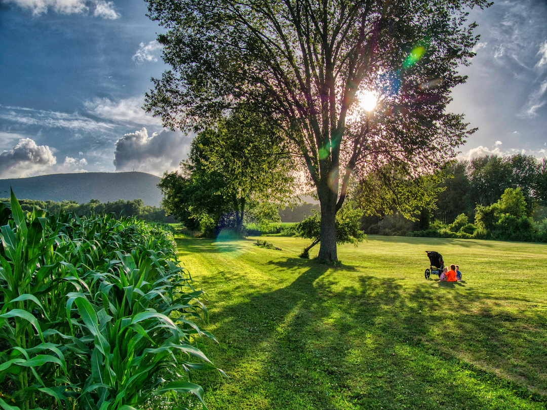 A Place for Everyone Pine Plains Views in Video
