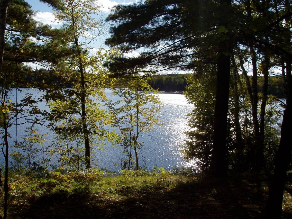 Clam Lake, Wisconsin Area Things To Do Attractions Pine Point