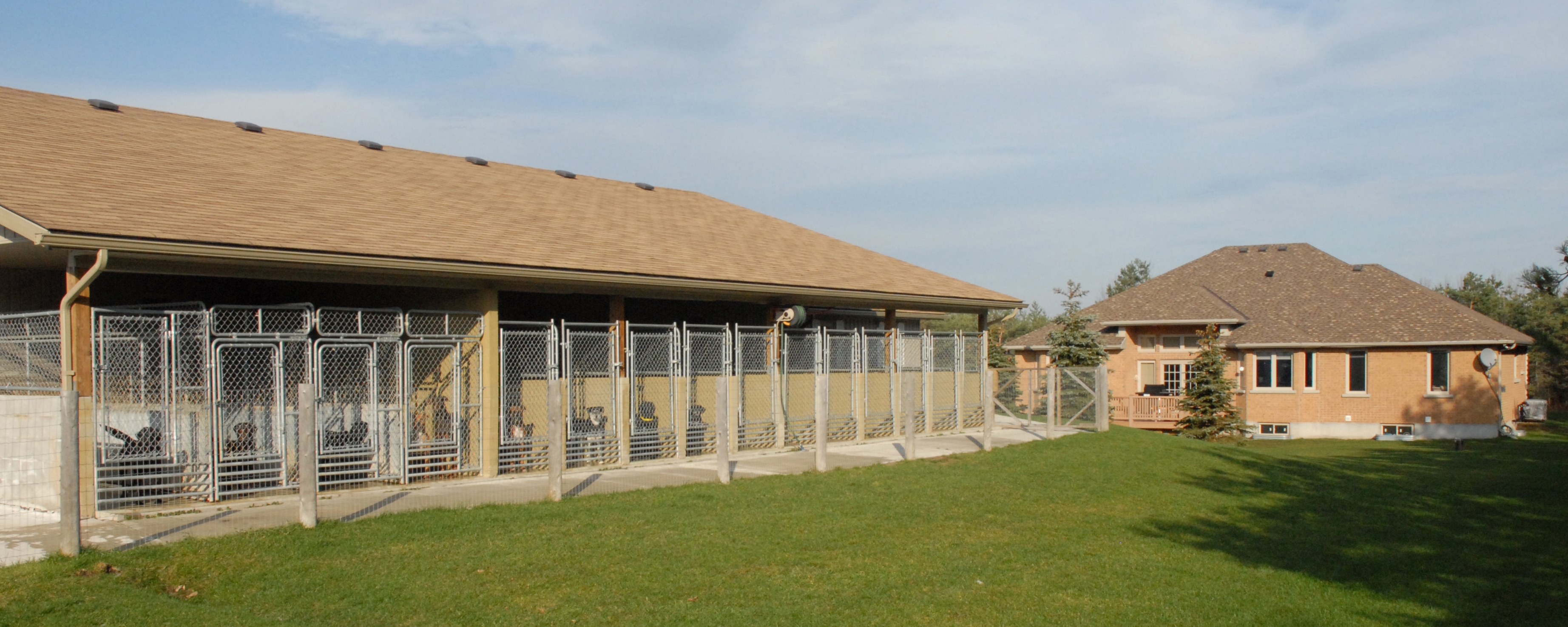 Galleries Pine Ridge Pet Centre Pine Ridge Pet Centre