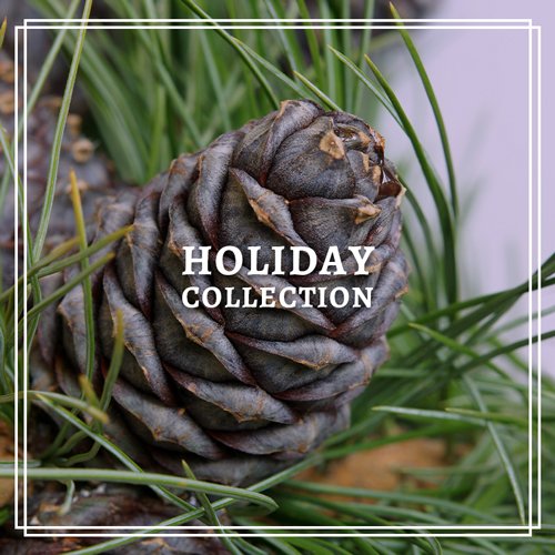 The Pinery The Pinery