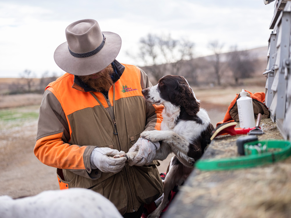 Resources Pine Shadows Hunting Dog Training Daybreak Hunting Lodge Corporate Retreats