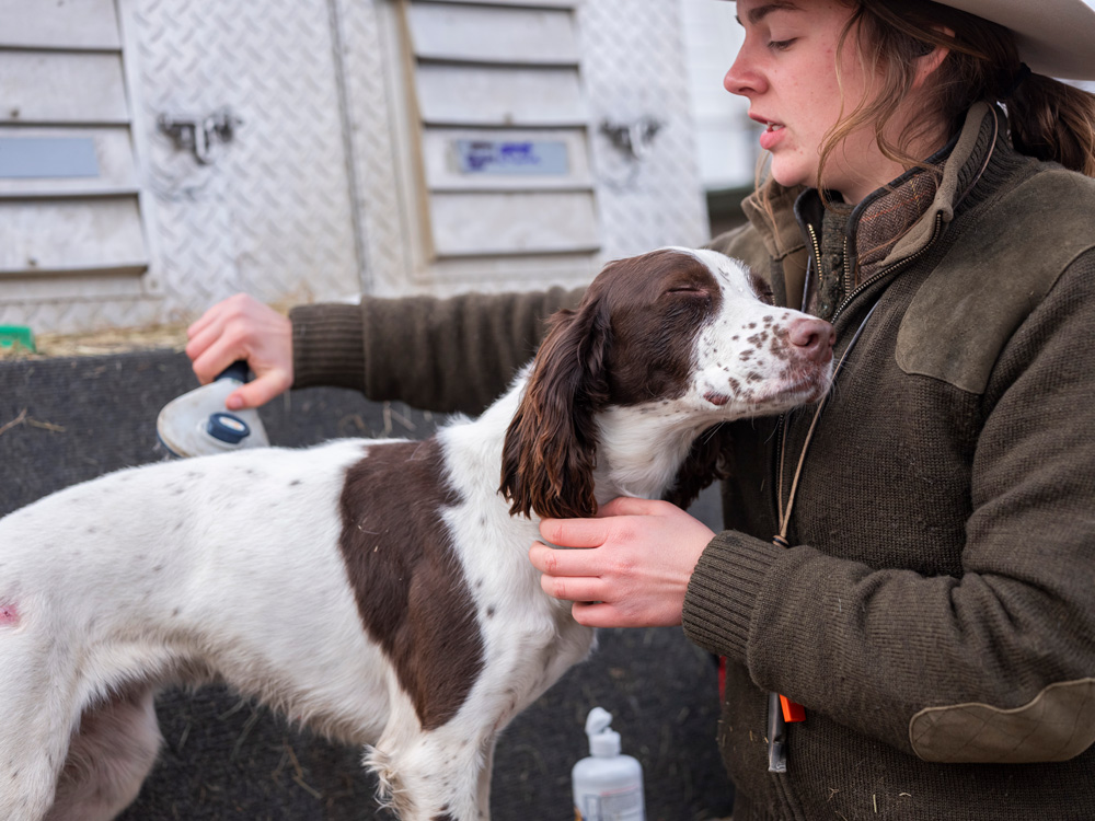 Resources Pine Shadows Hunting Dog Training Daybreak Hunting Lodge Corporate Retreats