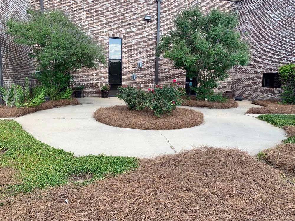 The Art of Landscape Enhancement with Pine Straw pinestrawamerica