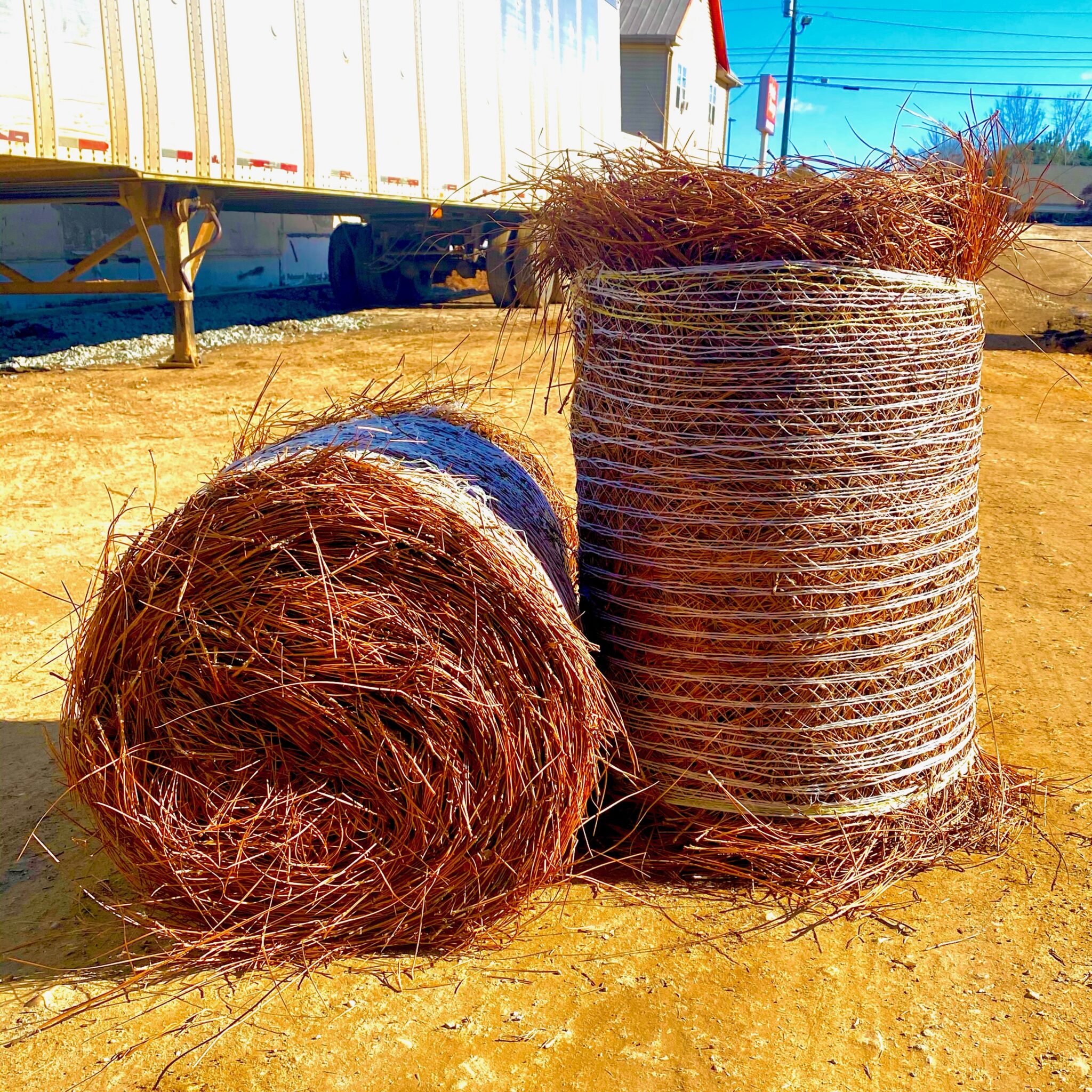 Long Needle Pine Straw Rolls Fast Marietta Delivery