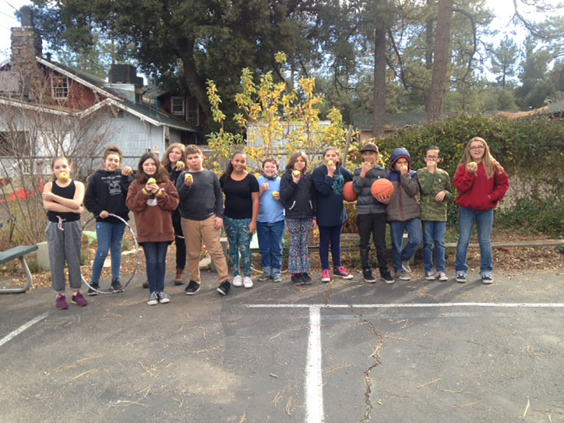 Academy JCS Pine Valley