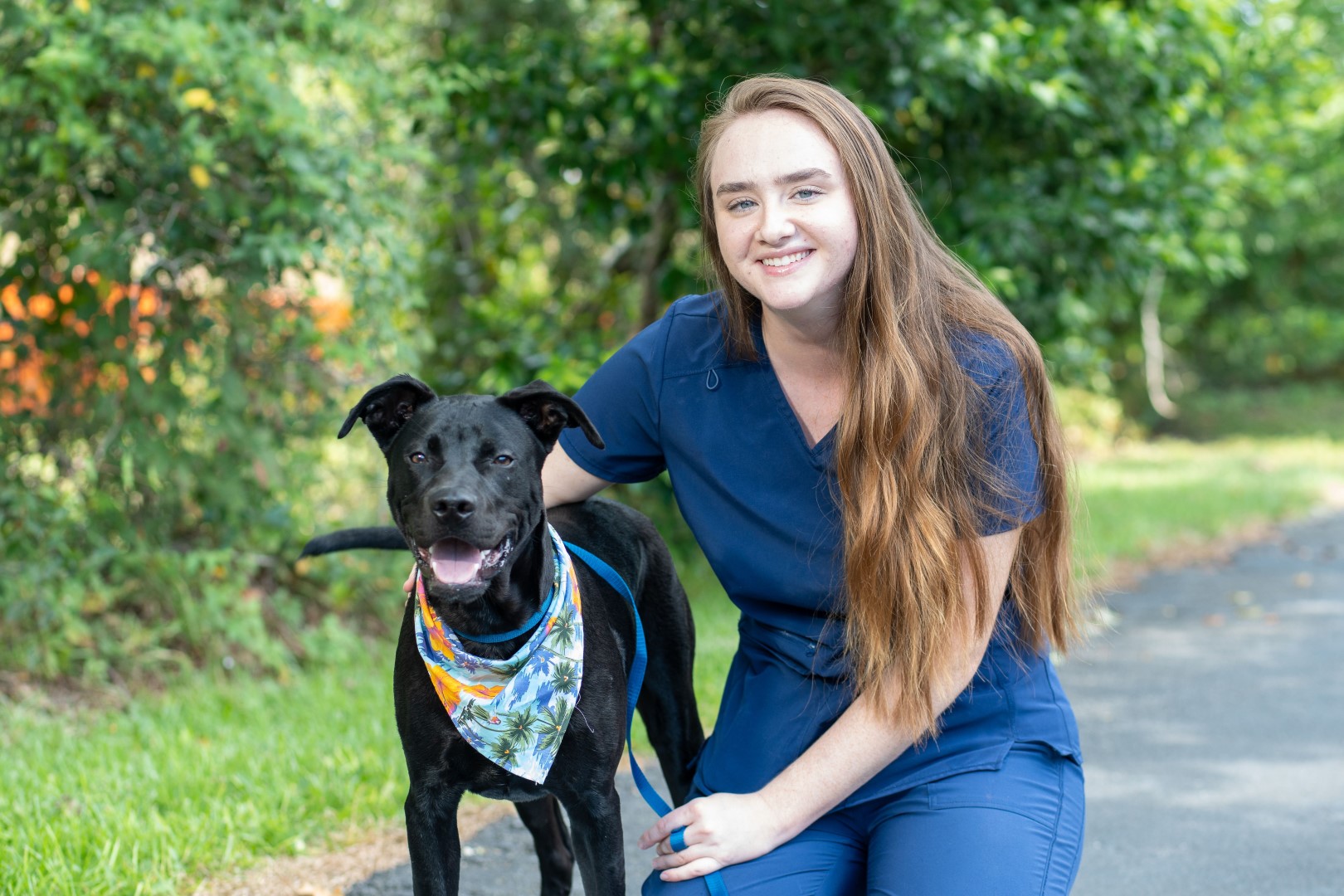 About Pine Valley Animal Hospital