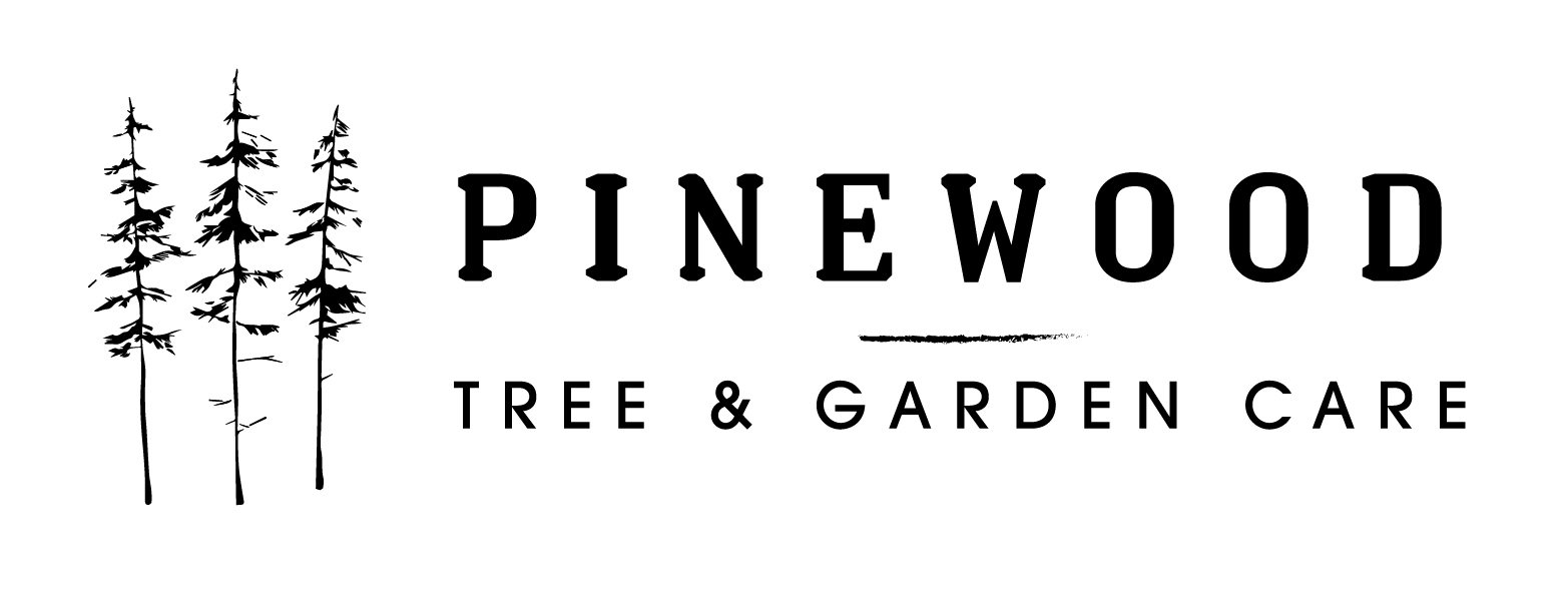 Pinewood Tree & Garden Care Croydon based tree surgeons