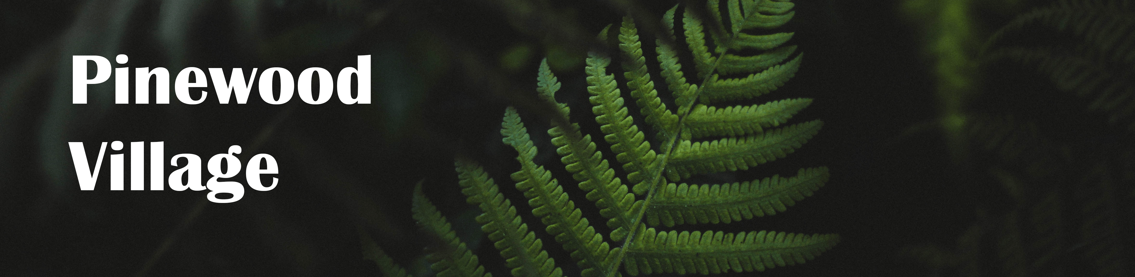 Pinewood Village Home