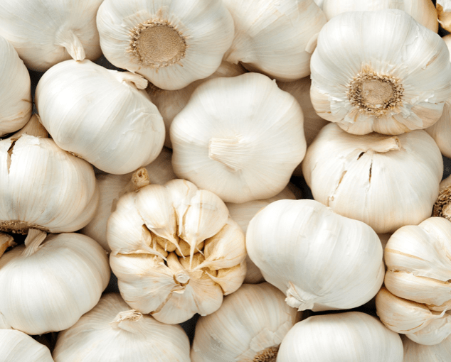 Garlic (Spain) Pingle Produce