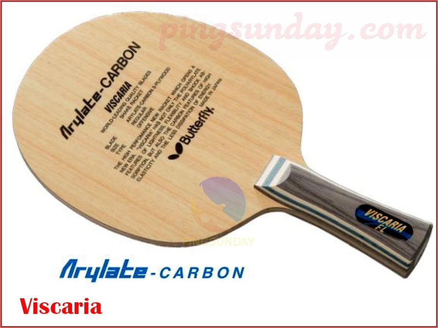 Top 10 Professional Excellent Table Tennis Blades PingSunday