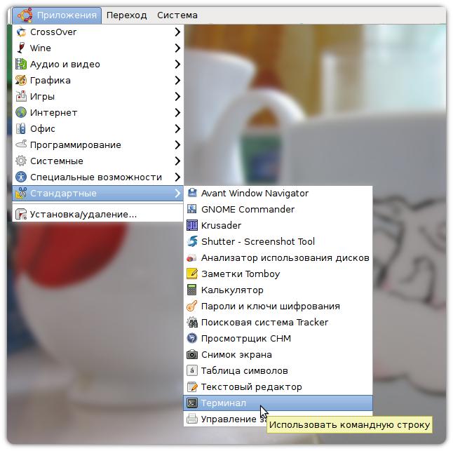 Основы работы в командной строке Linux. Linux статьи. Пингвинус Linux