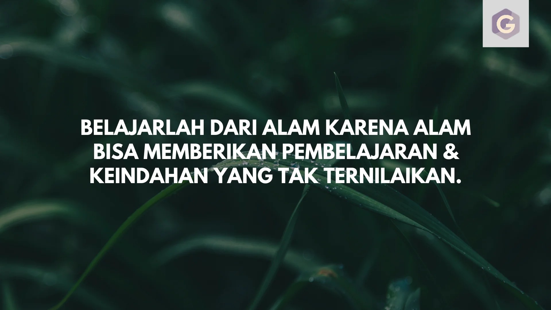 30 Kata Kata Keindahan Alam Yang Membuat Kita Bersyukur