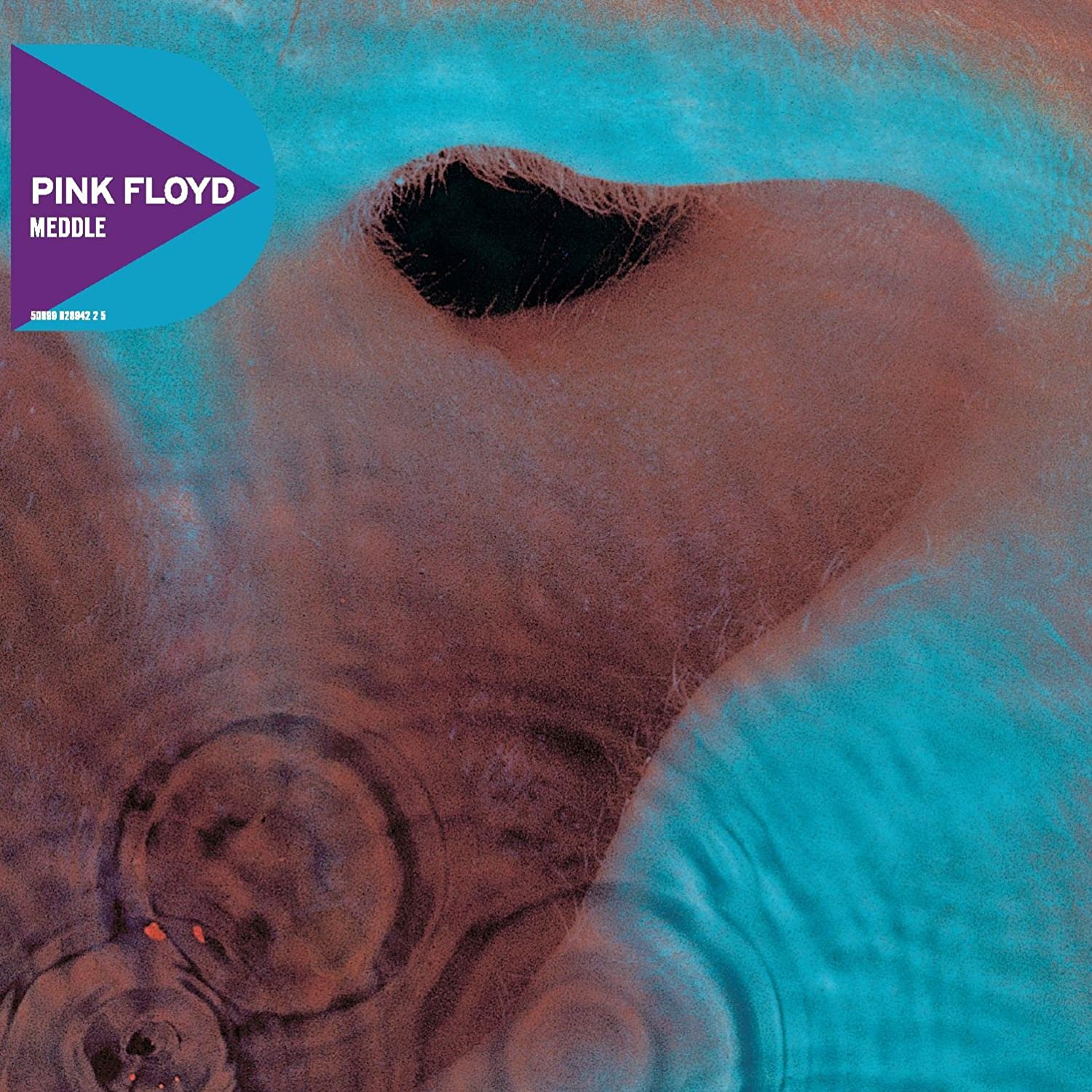 Meddle Pink Floyd album The Pink Floyd HyperBase