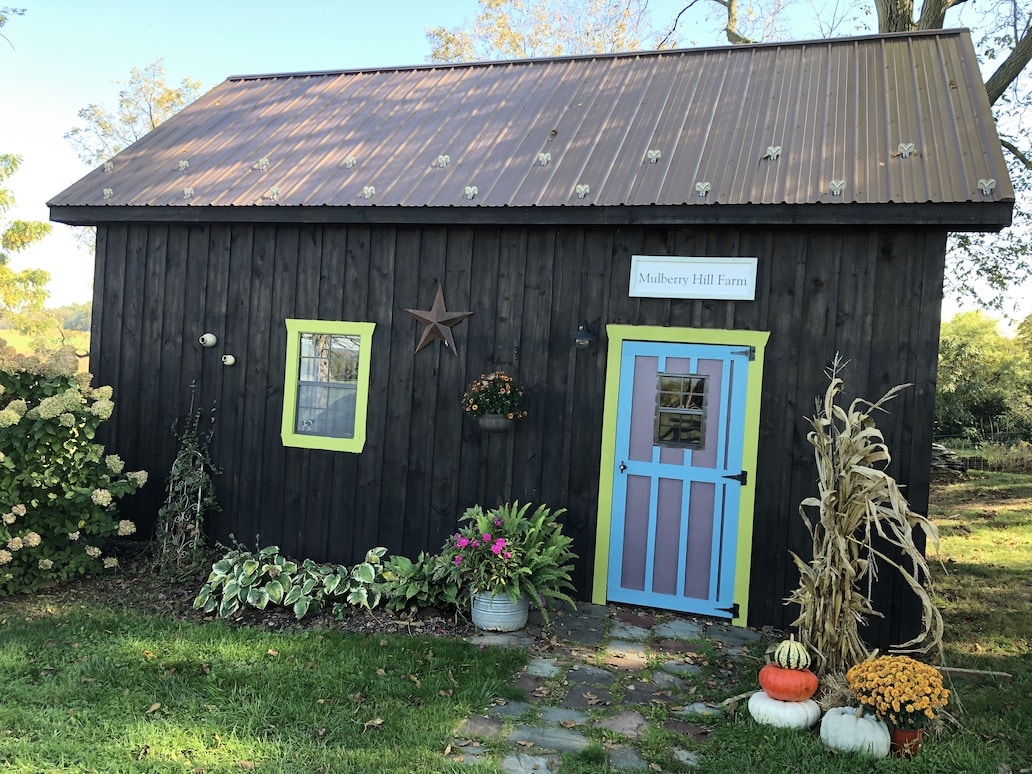 Mulberry Hill Farm; Carlisle, Pennsylvania Pink Imperfection