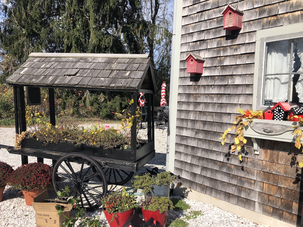 Black Purls Yarn Shop, Sandwich, Massachusetts Pink Imperfection