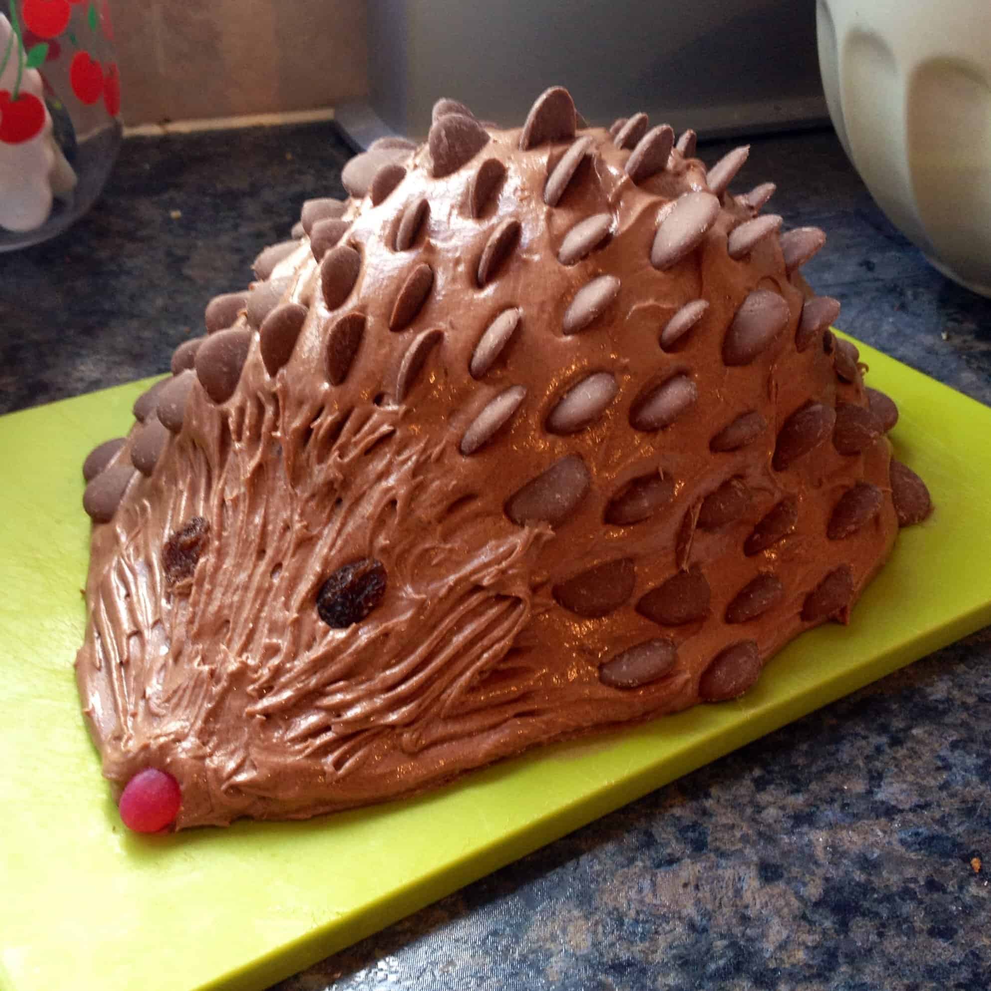 Chocolate Harriet Hedgehog birthday cake PinksCharming