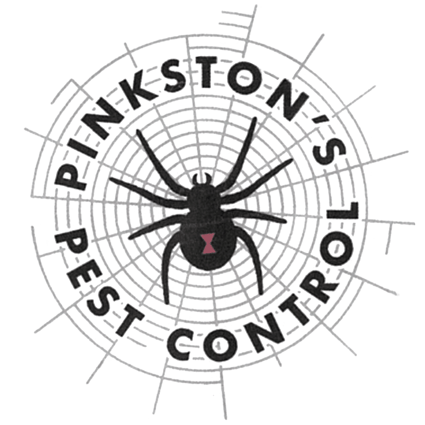 A Guide to Pest Control in Lubbock What You Need to Know