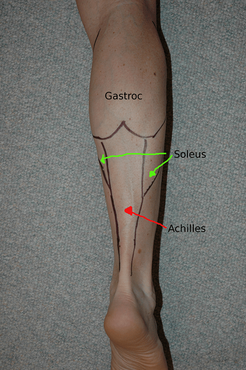 Athletes Training Athletes Self Muscle Massage Pt 1 The Calf