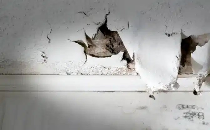 Why Is Water Leaking From The Bottom Of My Washing Machine?