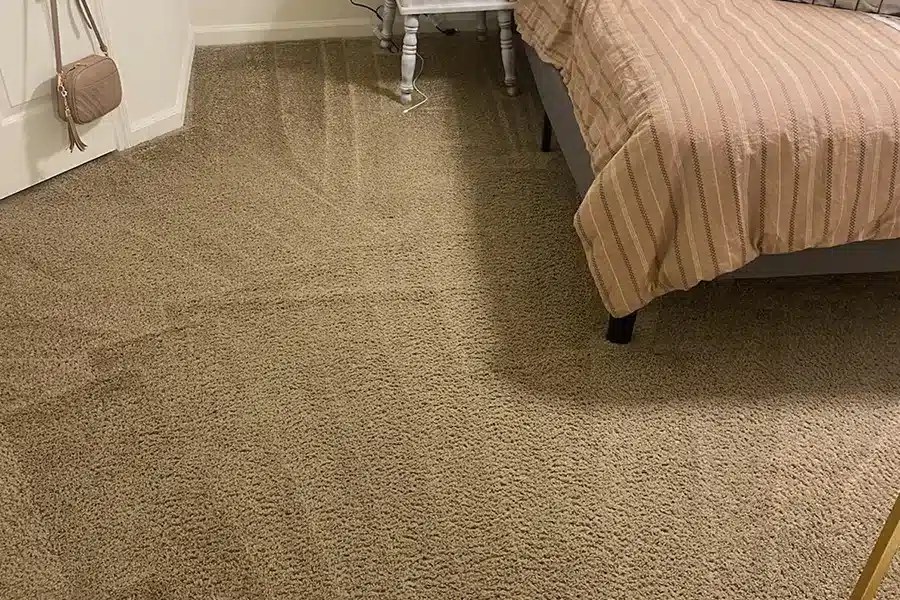 Rug Doctor VS Hot Water Extraction Carpet Cleaning Pinnacle Carpet